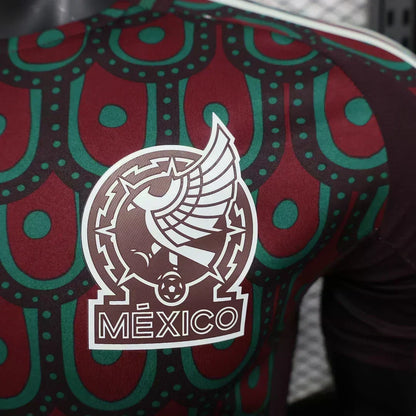 2024 Mexico Local